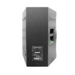 PARLANTE PASIVO LEXSEN TT15 - Imagen 2