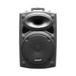 PARLANTE AMPLIFICADO LEXSEN SK12 PORT